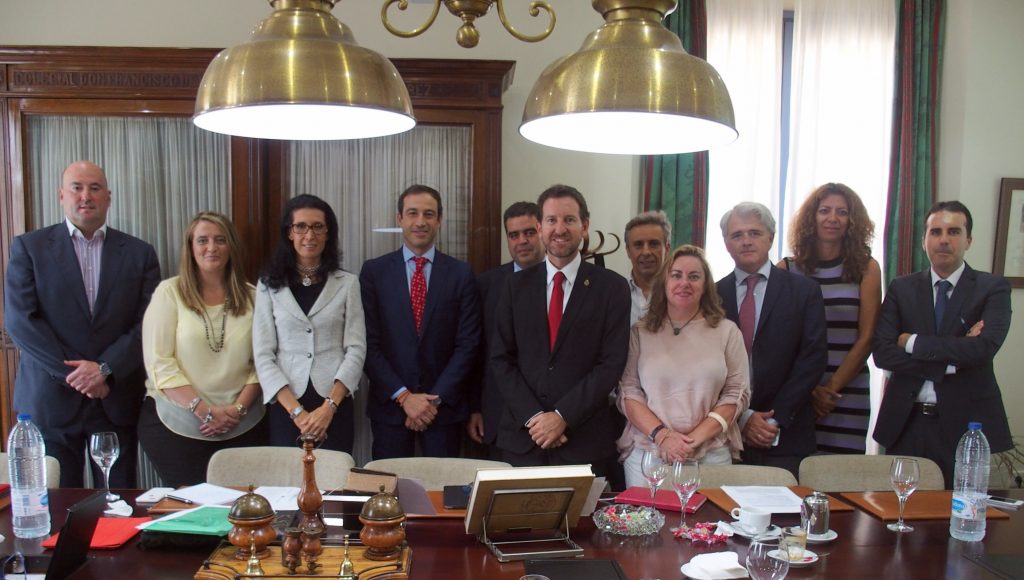 ICA Málaga, Junta de Gobierno